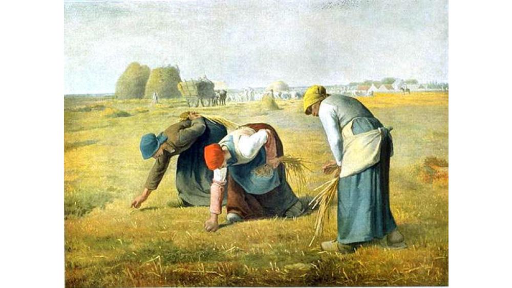 les-glaneuses-60e66abc2d9f3143906401.jpg