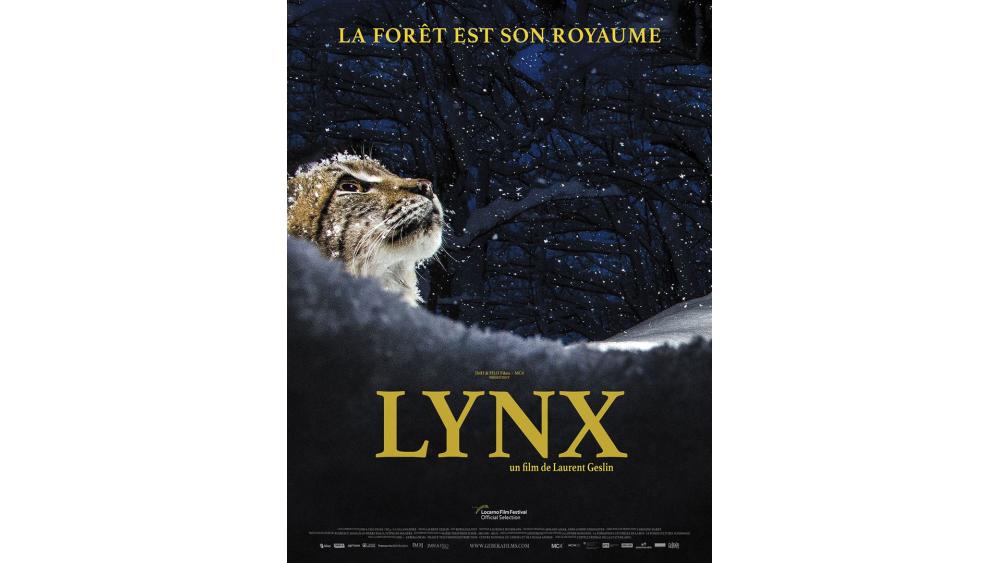 lynx-61f6ada52b281129687656.jpg
