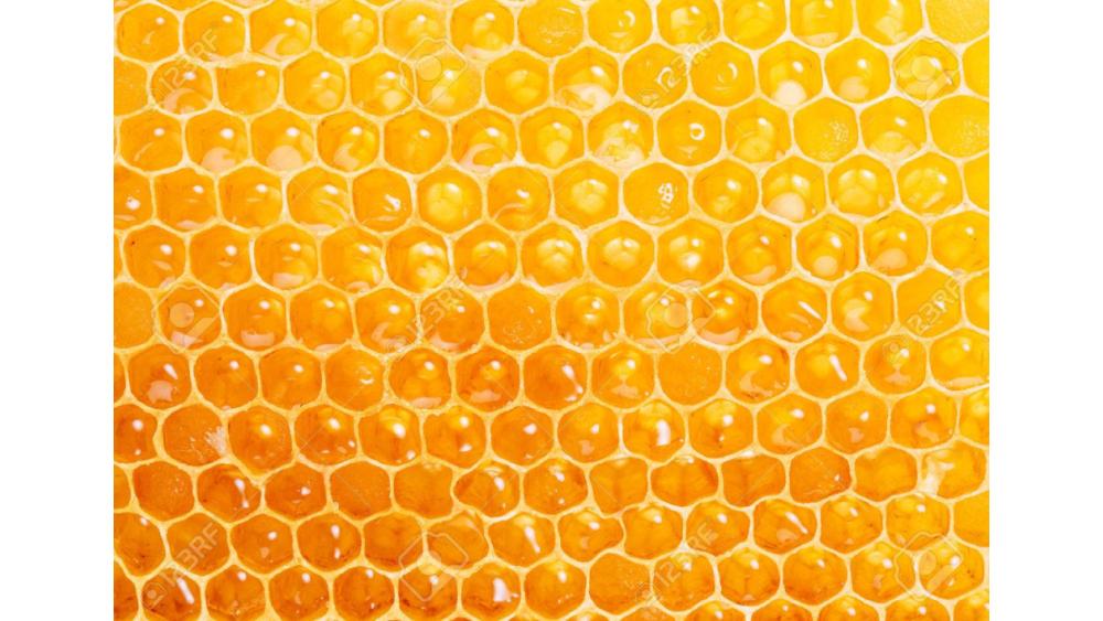 mielrayon-65c5fcf0a19b6872967738.jpg