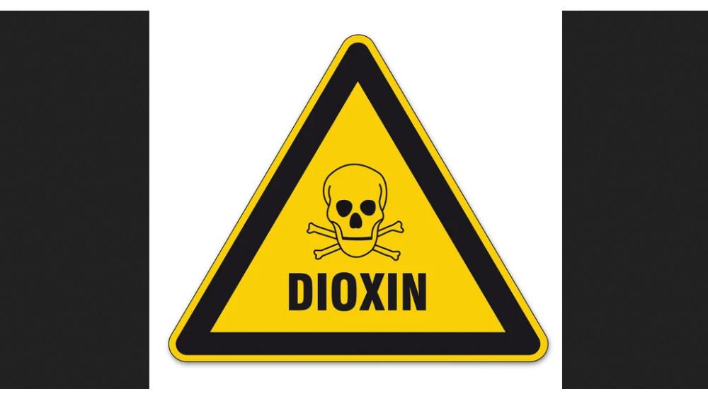 dioxine-66fa6c54aed32415532304.jpeg