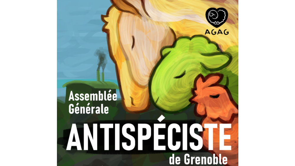 agantispe-67f7ca27dd075169071057-687bb09952c89267178230.png