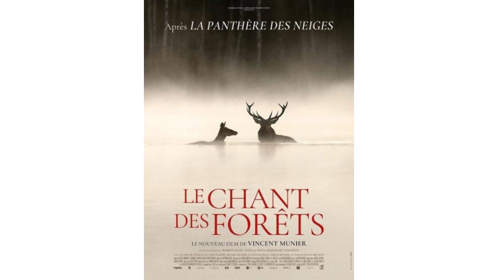 forets-694a48dceb5f4356902408.jpg