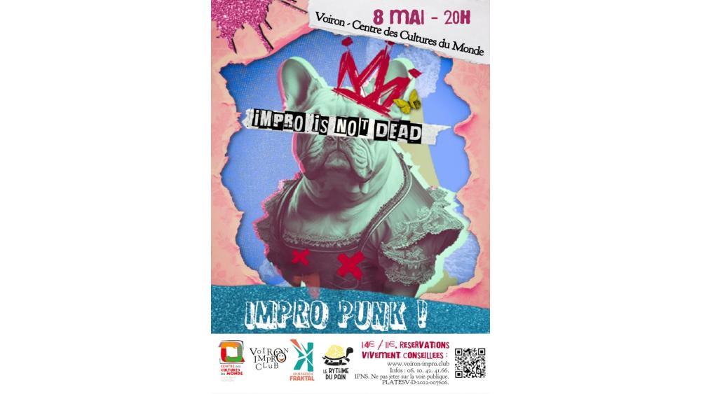affiche-impro-punk-69f355cf4836d666831383.jpg