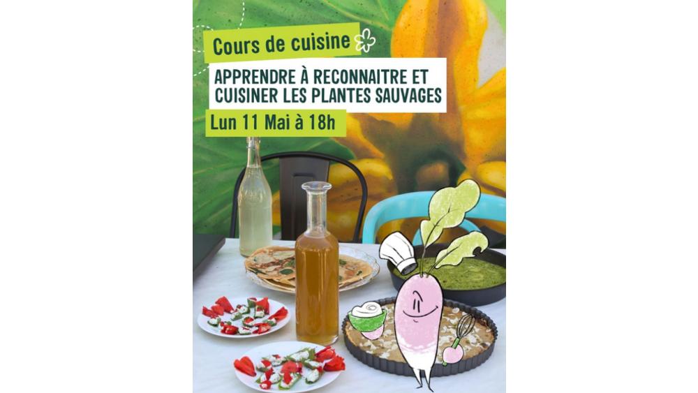 sauvages-69f5f52a34afd913676868.jpeg