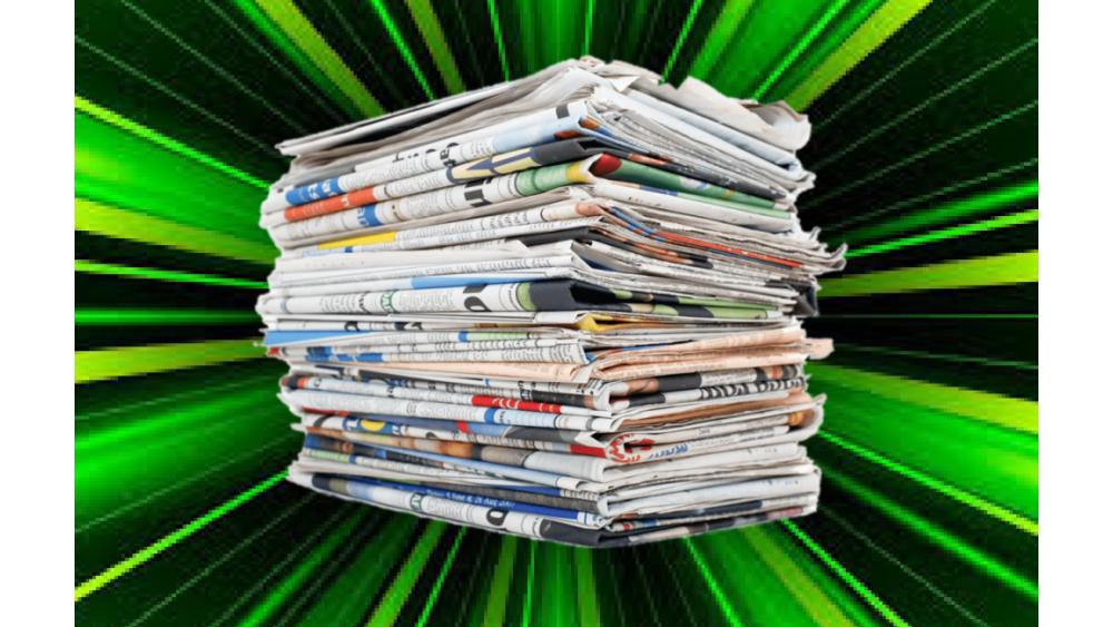 journaux-vert-petit-6a0323bf8dddd403658906.jpeg