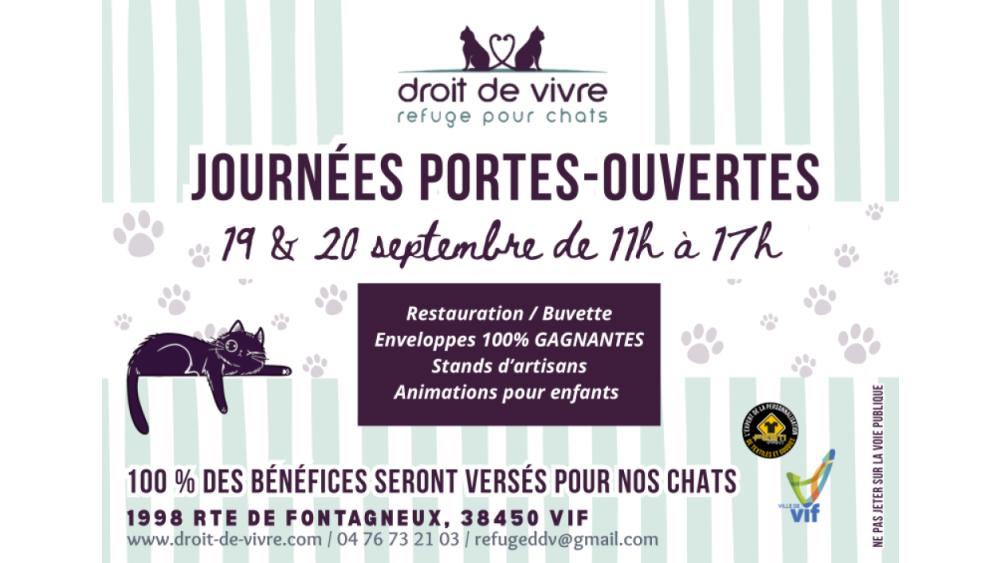 vif-chat-6a9fe4c35517b355153470.jpeg