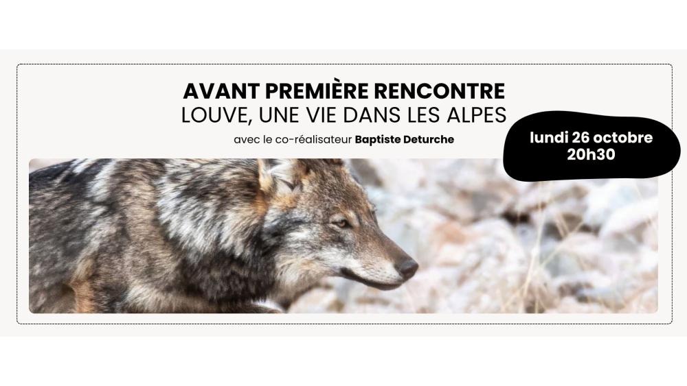 louve-6acdce585fd4b931072858.jpg