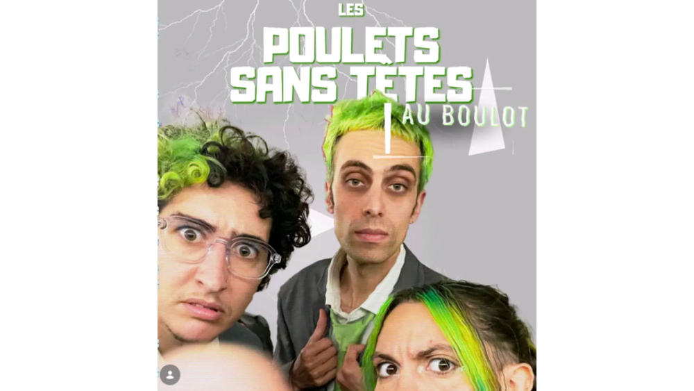 poulets-6ad73d75aeec9689673776.png